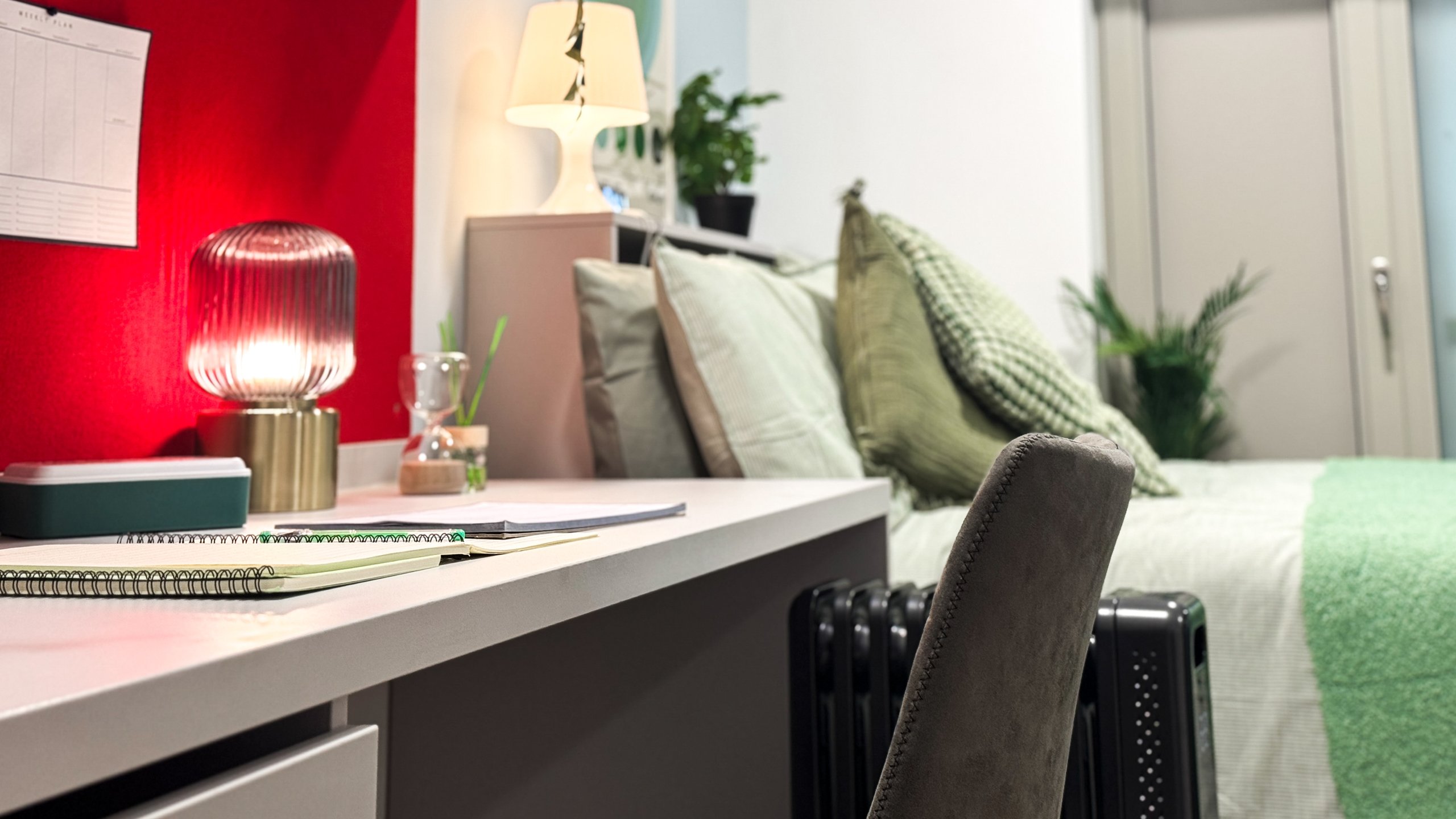 A study desk beside a bed in a studio room with a red feature wall