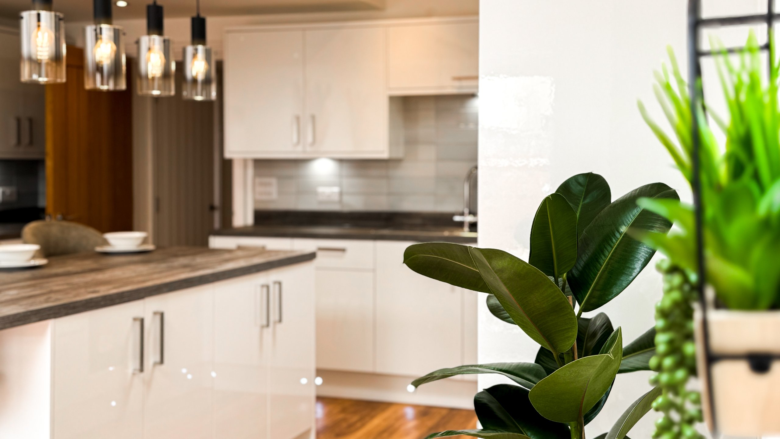An open plan kitchen with pendant lighting, seen past a rubber plant